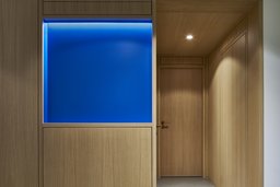 Praxisflur mit raumhoher Holzverkleidung, flächenbündiger Tür und blau hinterleuchteter Wandnische