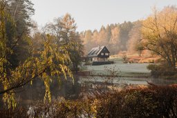 Blick über den Weiher auf das Einfamilienhaus am herbstlichen Waldrand