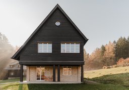 Asymmetrische Giebelfassade mit dunkler Holzverschalung, hellem Klinkersockel und Rundfenster