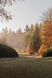 Blick über die weitläufige Waldwiese in die herbstliche Naturlandschaft